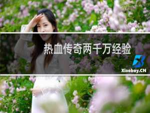 热血传奇两千万经验