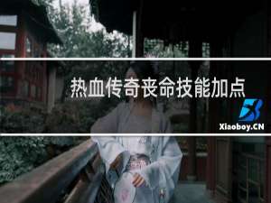 热血传奇丧命技能加点