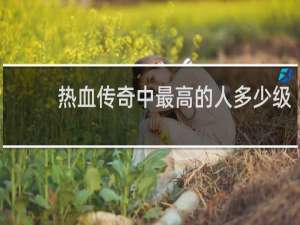 热血传奇中最高的人多少级