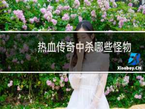 热血传奇中杀哪些怪物