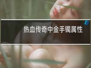 热血传奇中金手镯属性