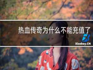 热血传奇为什么不能充值了