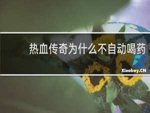 热血传奇为什么不自动喝药