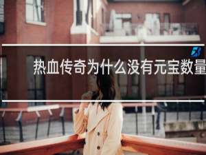 热血传奇为什么没有元宝数量