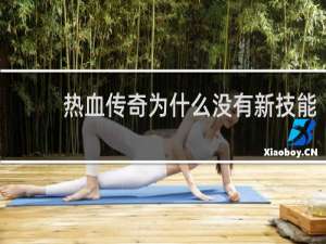 热血传奇为什么没有新技能