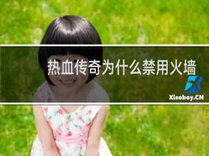热血传奇为什么禁用火墙