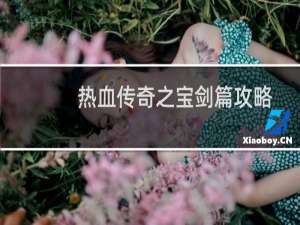 热血传奇之宝剑篇攻略