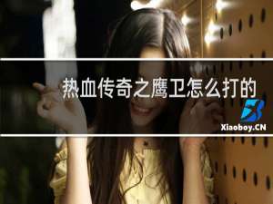 热血传奇之鹰卫怎么打的