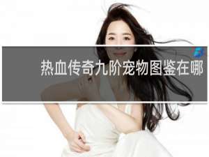 热血传奇九阶宠物图鉴在哪