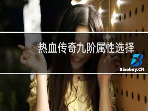热血传奇九阶属性选择