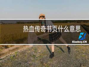 热血传奇书页什么意思