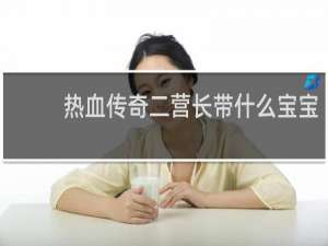 热血传奇二营长带什么宝宝