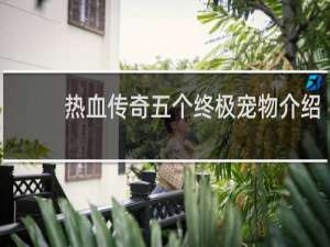 热血传奇五个终极宠物介绍