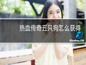 热血传奇五只狗怎么获得