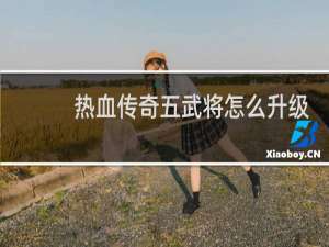 热血传奇五武将怎么升级