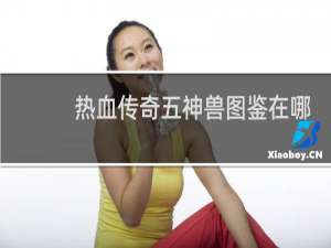 热血传奇五神兽图鉴在哪