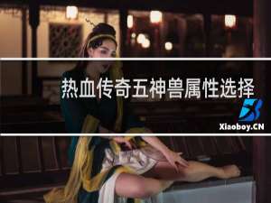 热血传奇五神兽属性选择