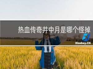 热血传奇井中月是哪个怪掉