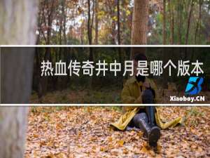 热血传奇井中月是哪个版本