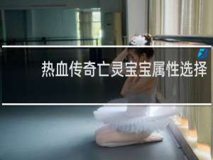 热血传奇亡灵宝宝属性选择