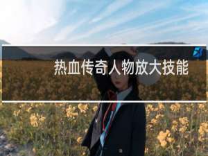 热血传奇人物放大技能