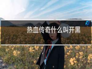 热血传奇什么叫开黑