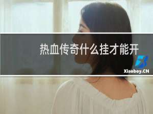 热血传奇什么挂才能开