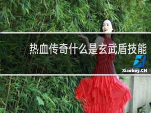 热血传奇什么是玄武盾技能