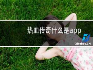 热血传奇什么是app