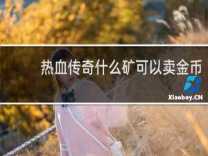 热血传奇什么矿可以卖金币