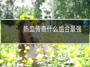 热血传奇什么组合最强