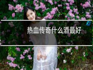 热血传奇什么酒最好