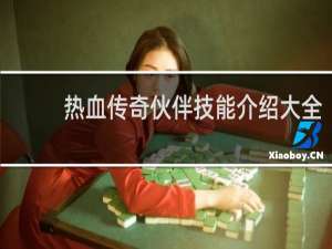 热血传奇伙伴技能介绍大全