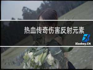 热血传奇伤害反射元素