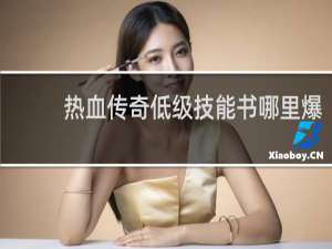 热血传奇低级技能书哪里爆
