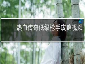 热血传奇低级枪手攻略视频