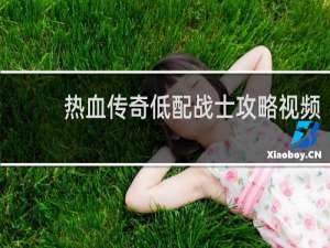 热血传奇低配战士攻略视频