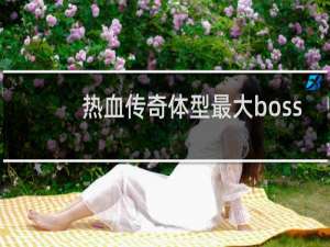 热血传奇体型最大boss