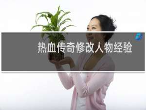 热血传奇修改人物经验