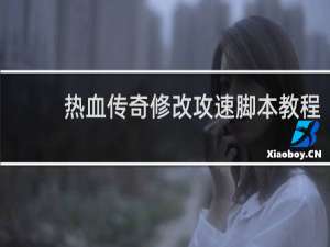 热血传奇修改攻速脚本教程