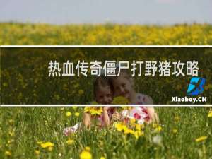热血传奇僵尸打野猪攻略