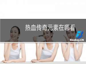 热血传奇元素在哪看