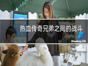 热血传奇兄弟之间的战斗