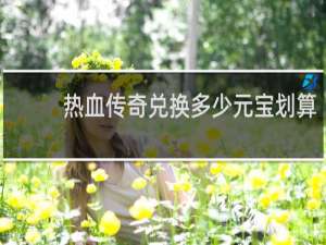 热血传奇兑换多少元宝划算