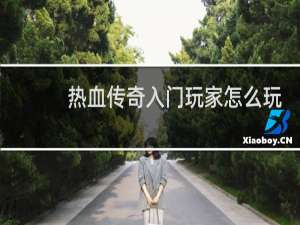 热血传奇入门玩家怎么玩