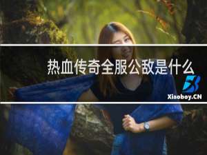 热血传奇全服公敌是什么