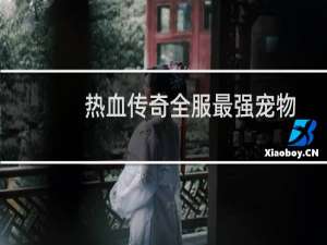 热血传奇全服最强宠物