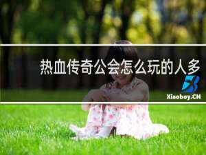 热血传奇公会怎么玩的人多