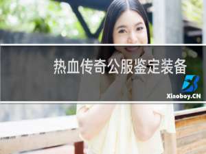 热血传奇公服鉴定装备