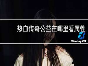 热血传奇公益在哪里看属性